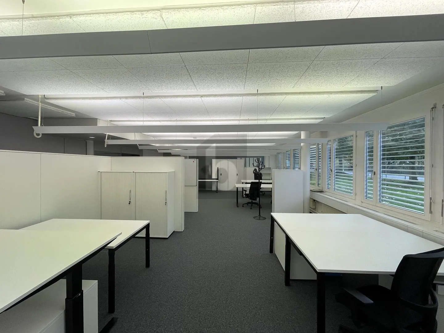 Geräumige Bürofläche in Arbon - Foto 5 von 6