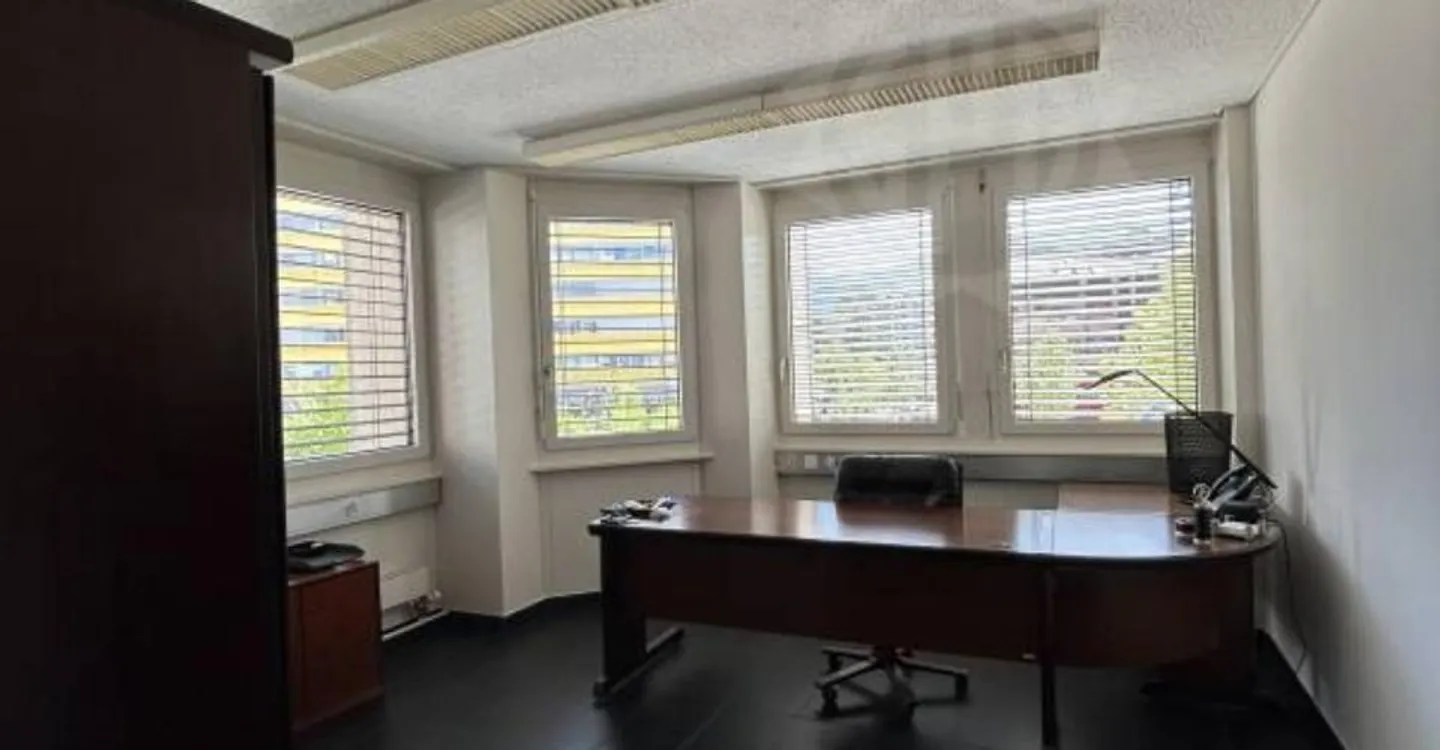 Bright Office Space in Chêne-Bourg - Photo 3 of 6