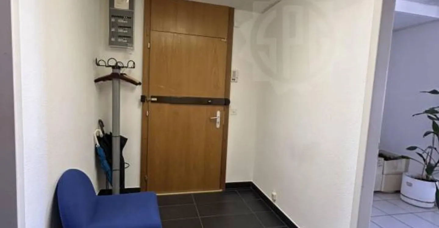 Bright Office Space in Chêne-Bourg - Photo 4 of 6