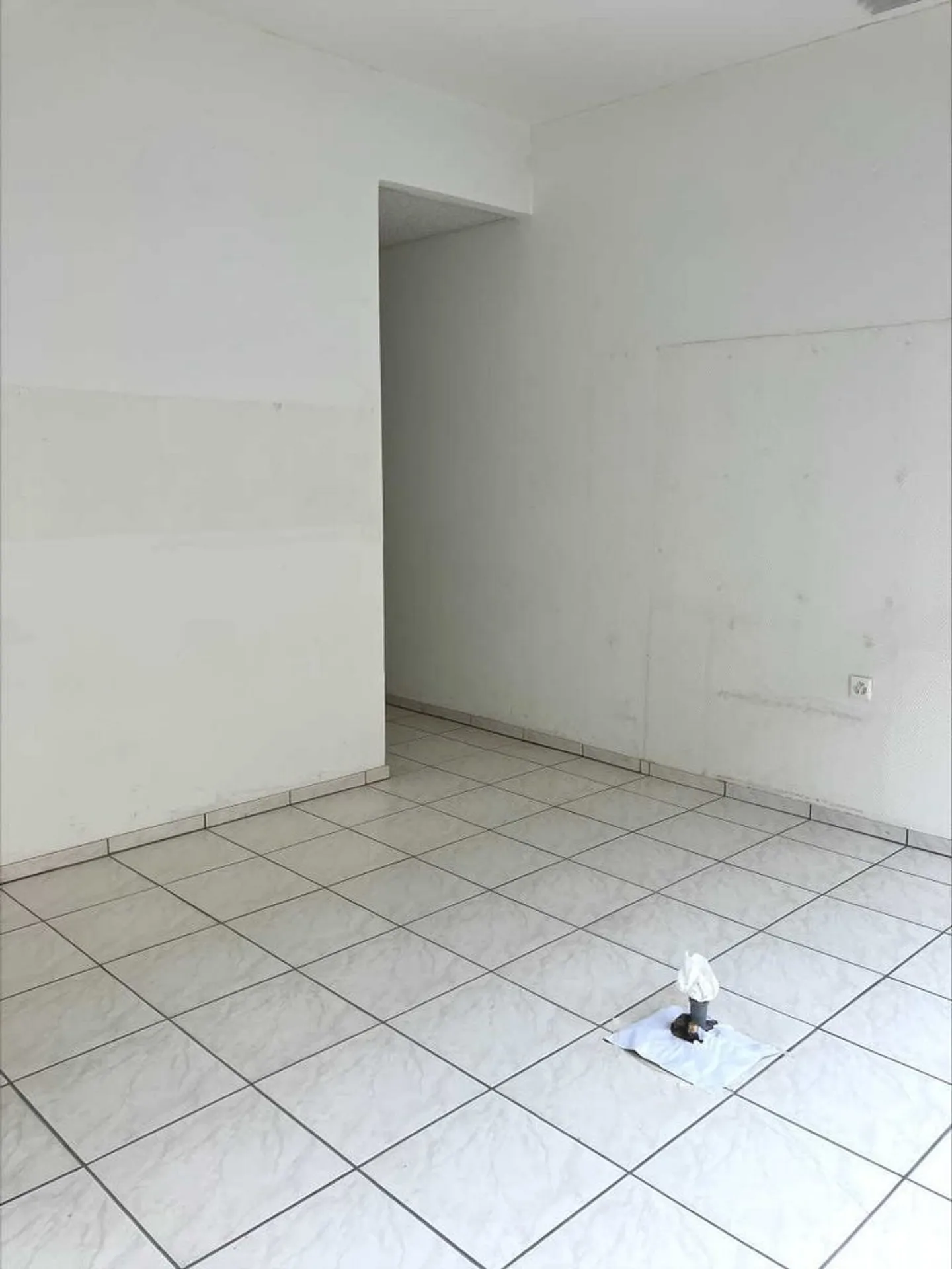 Vielseitige Gewerbefläche - Foto 4 von 7