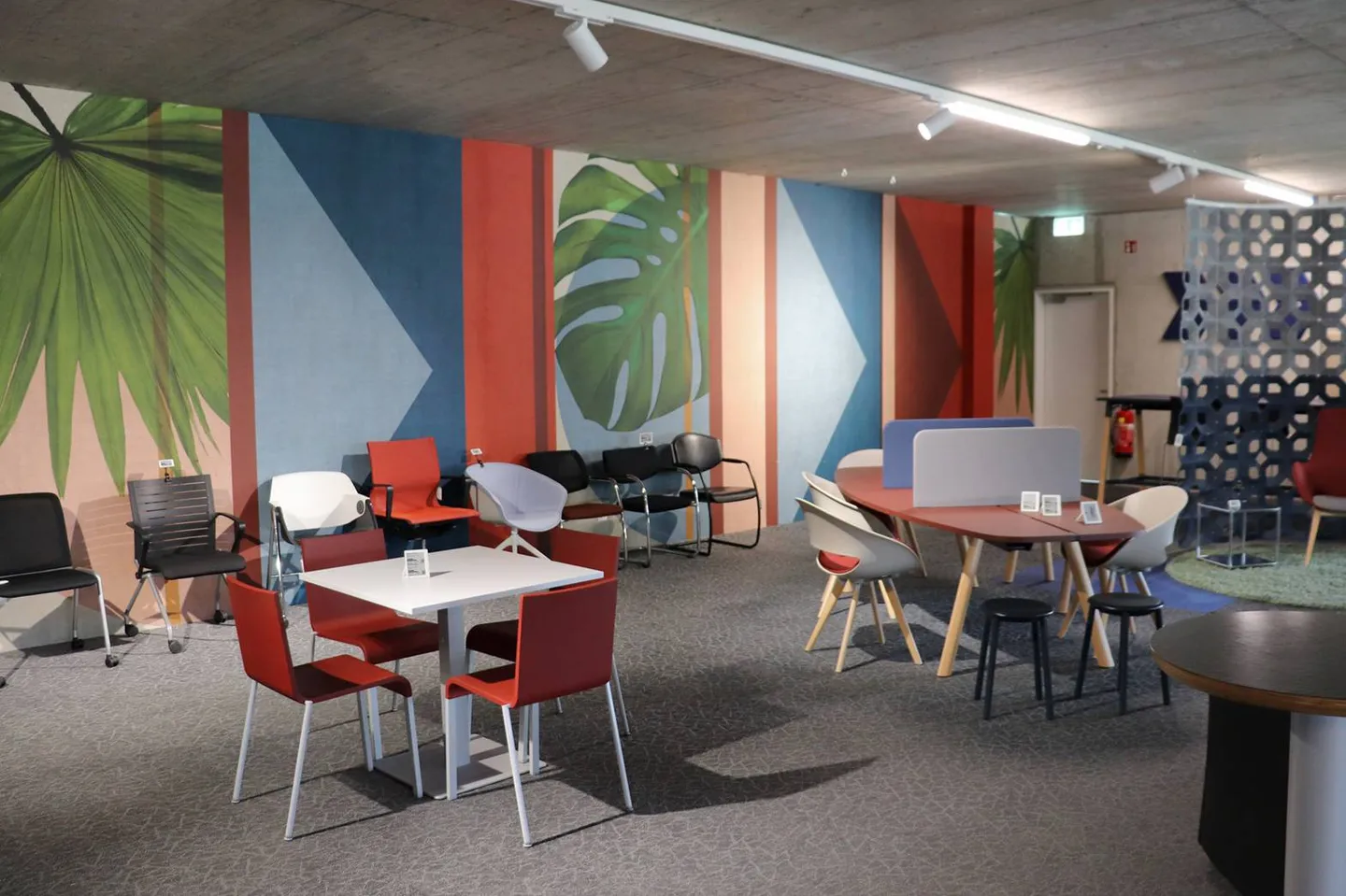 Espace Commercial Polyvalent - Photo 1 sur 5