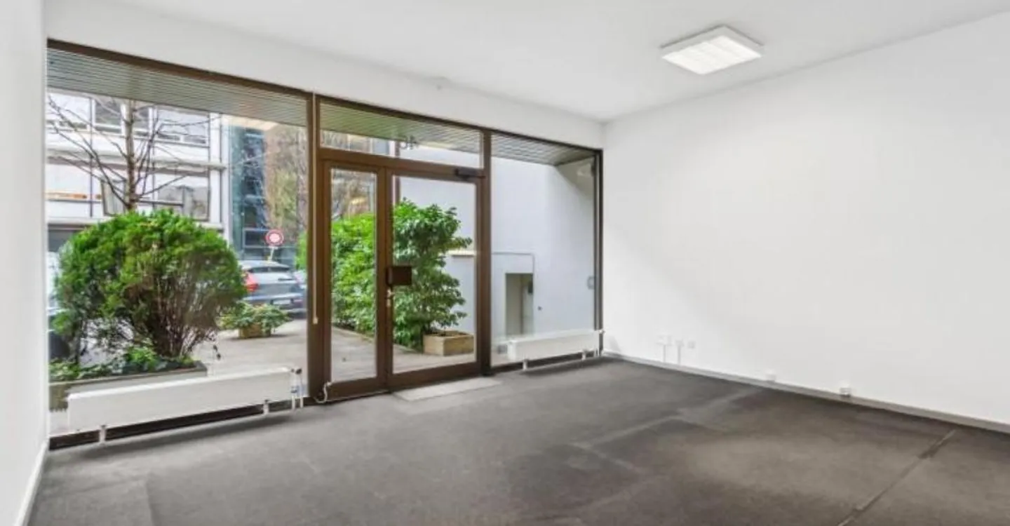 Espace Commercial Spacieux à Sécheron - Photo 2 sur 13