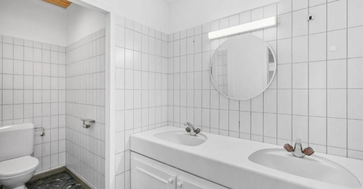 Espace Commercial Spacieux à Sécheron - Photo 12 sur 13