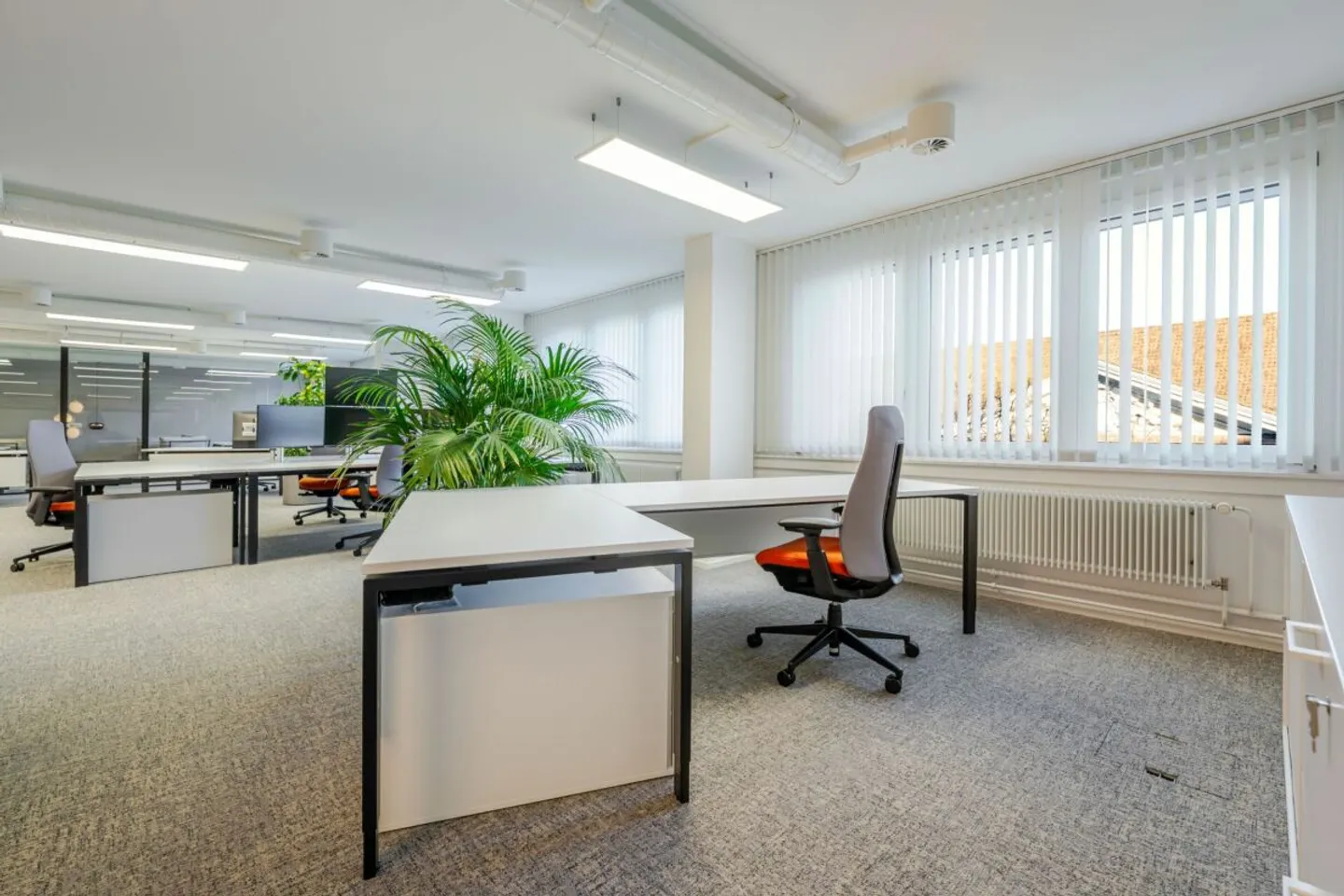 Ufficio Rappresentativo | Lavorare al Hallwilerweg - Foto 4 di 11