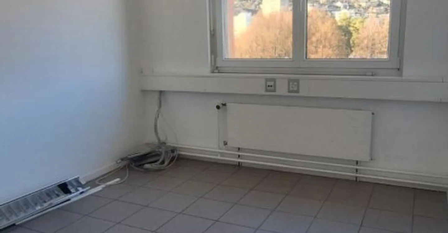 Espace Commercial à Valais - Photo 6 sur 8