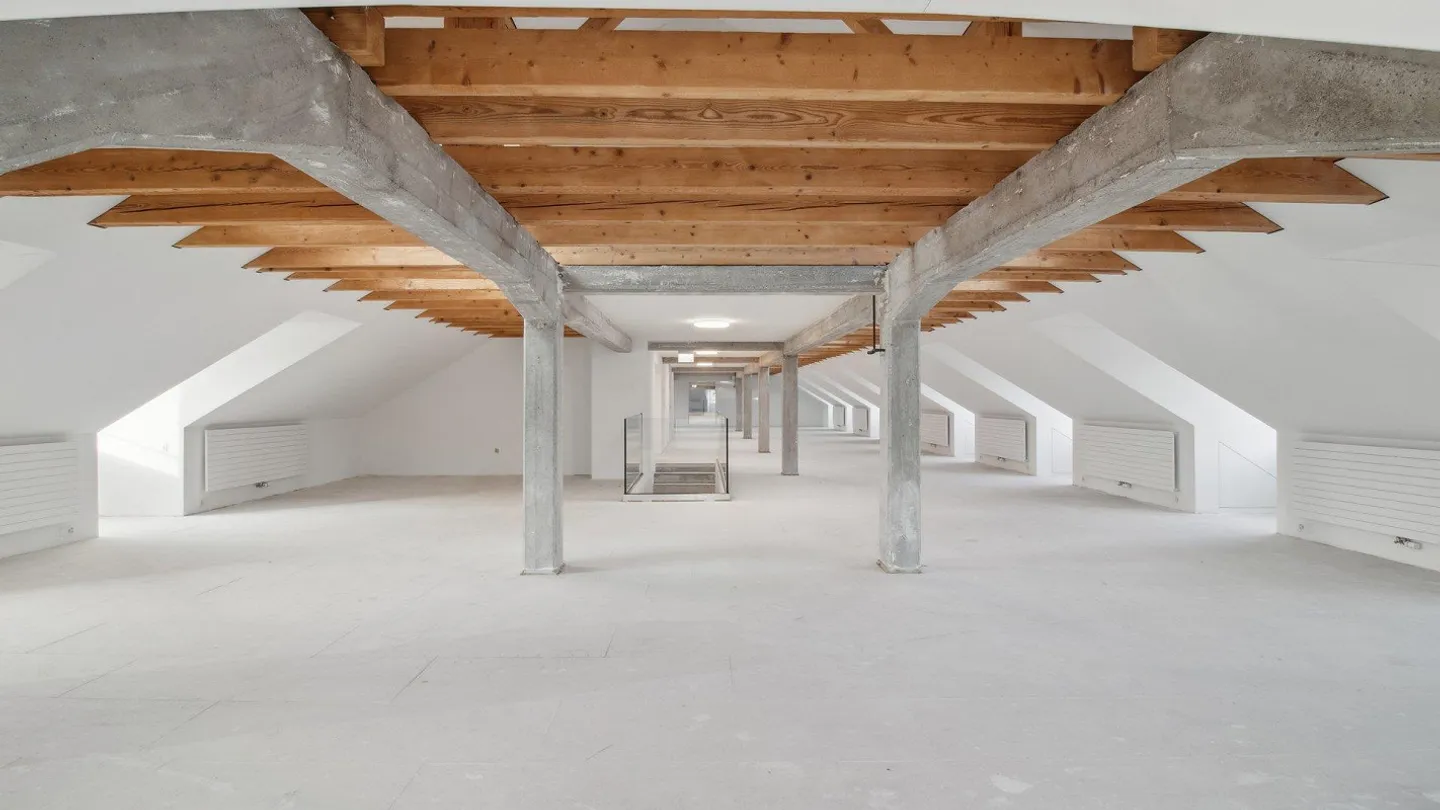 Atmosfera loft sopra i tetti di Zurigo - Foto 3 di 9