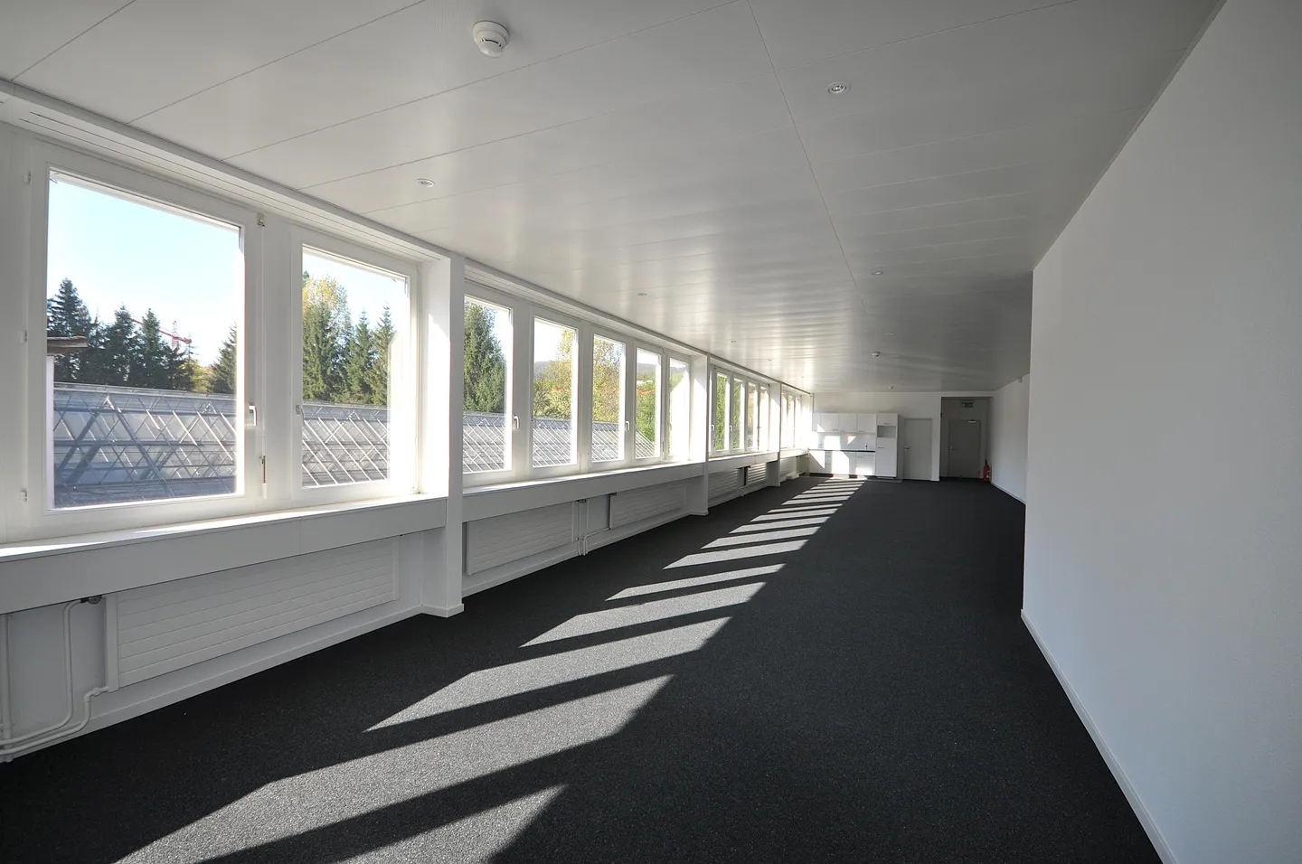 Spazio ufficio luminoso a Füllinsdorf - Foto 3 di 5