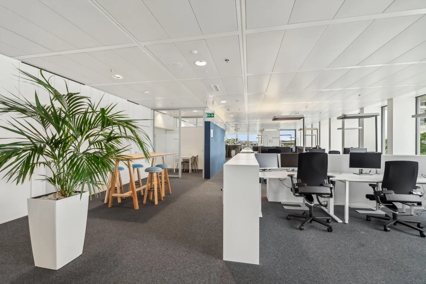 Lavorare dove l'innovazione è di casa - Spazi per uffici nel campus Novartis - Foto 3 di 9