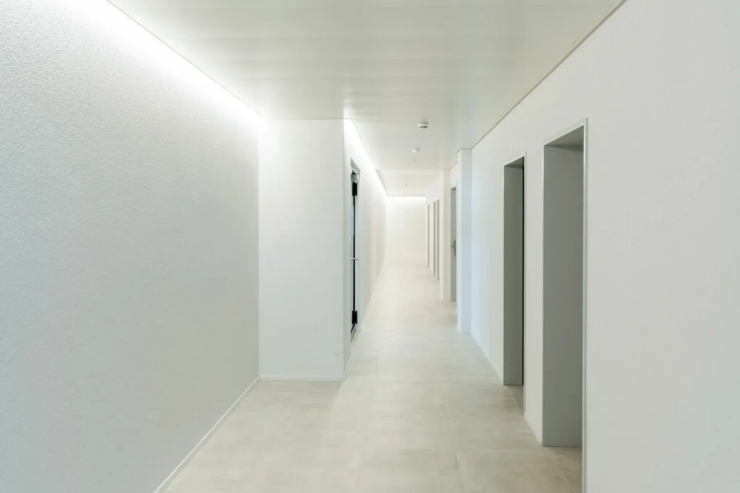Uffici vivaci? L'efficienza energetica incontra il comfort - Foto 11 di 13