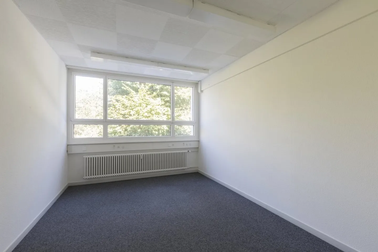 Office space near Spalentor: Bright, functional, expandable - Photo 3 of 11