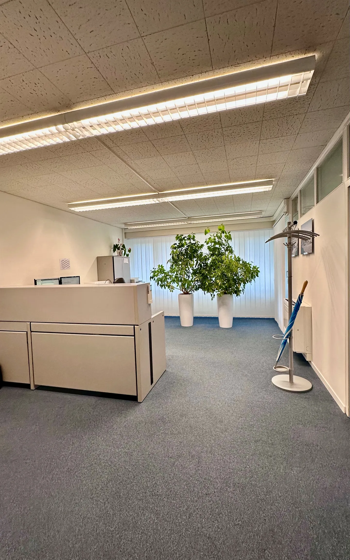 Commercial space for rent in a central location in Zug - Photo 3 of 8