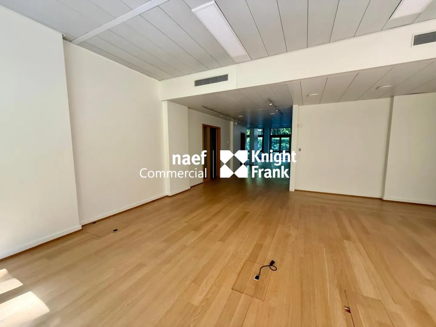 Arcade / Büros von ca. 206 m² mit 4 Parkplätzen - Champel / Genf - Foto 3 von 9