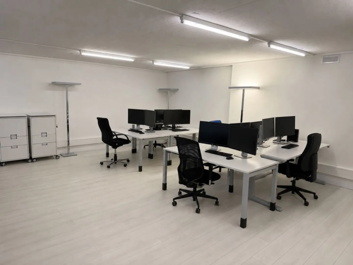 Rautistrasse 12: Developed office in an attractive location - Photo 2 of 10