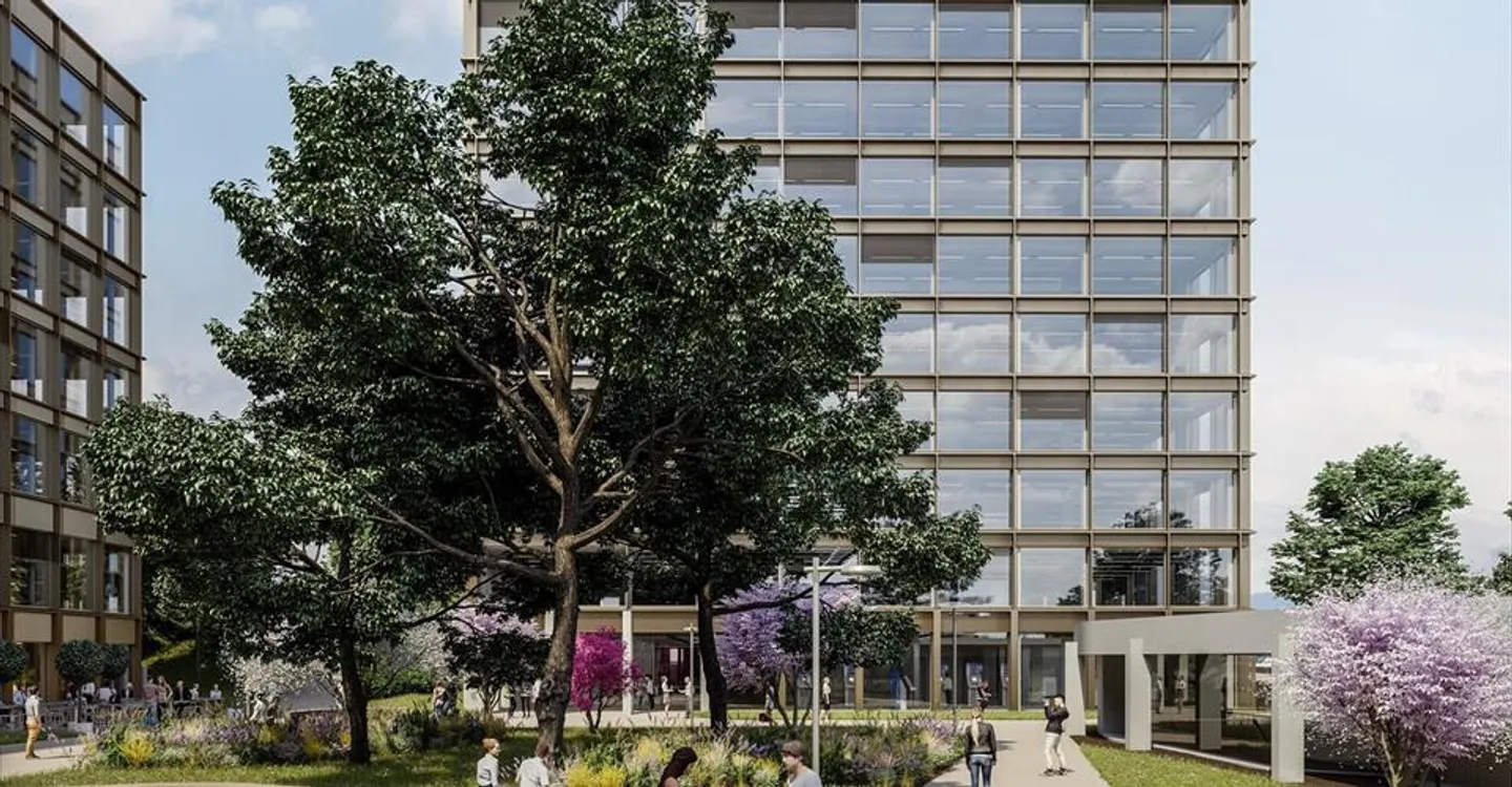 Büro - Foto 8 von 10