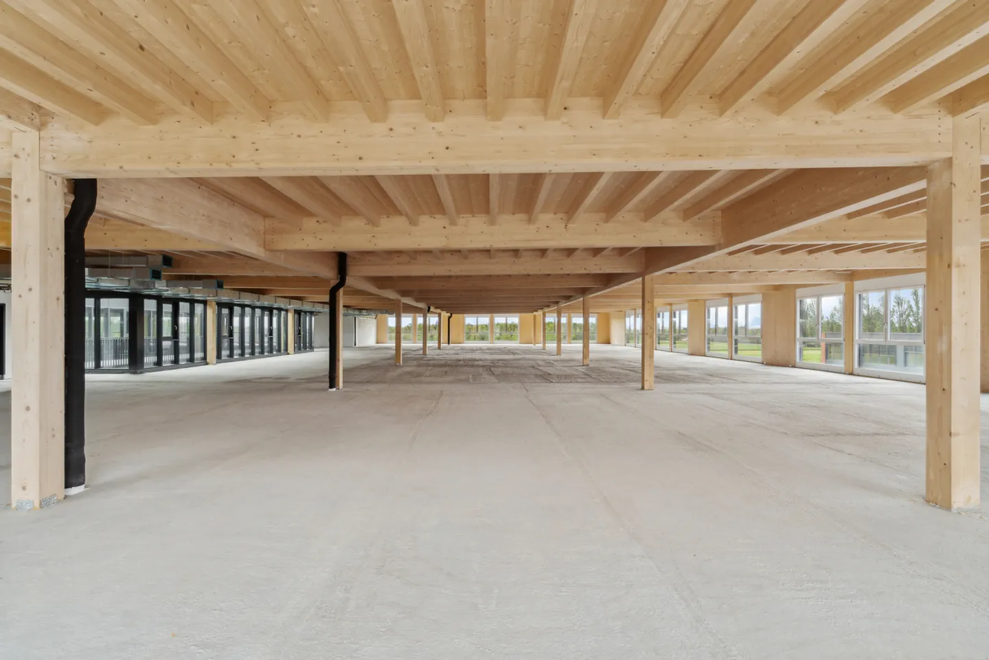 Neu in Gland - Große Verwaltungsfläche - Büro / 1.200m2 - Foto 3 von 11