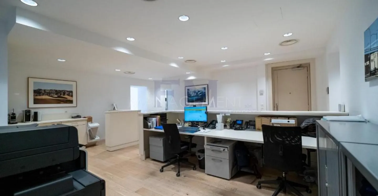 Elegant Office Space in Geneva - Photo 8 of 13