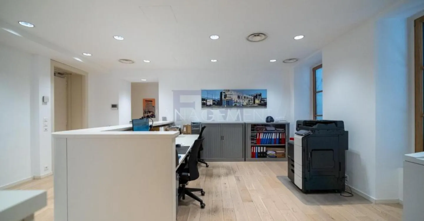 Elegant Office Space in Geneva - Photo 12 of 13