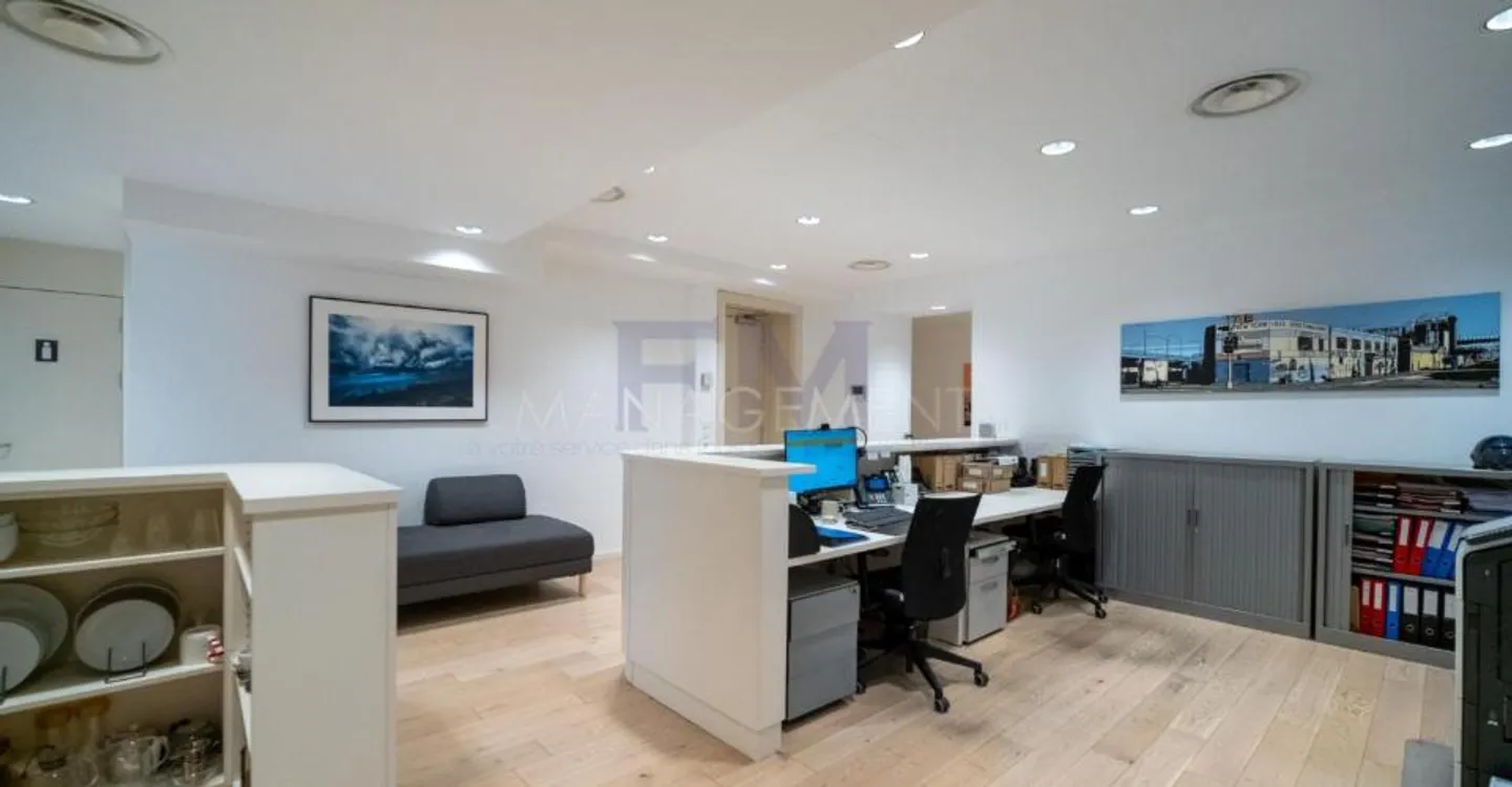 Elegant Office Space in Geneva - Photo 9 of 13