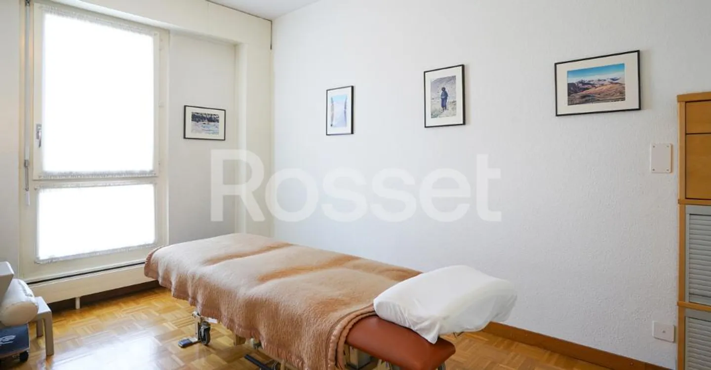 Spacious Office in Geneva - Photo 3 of 6