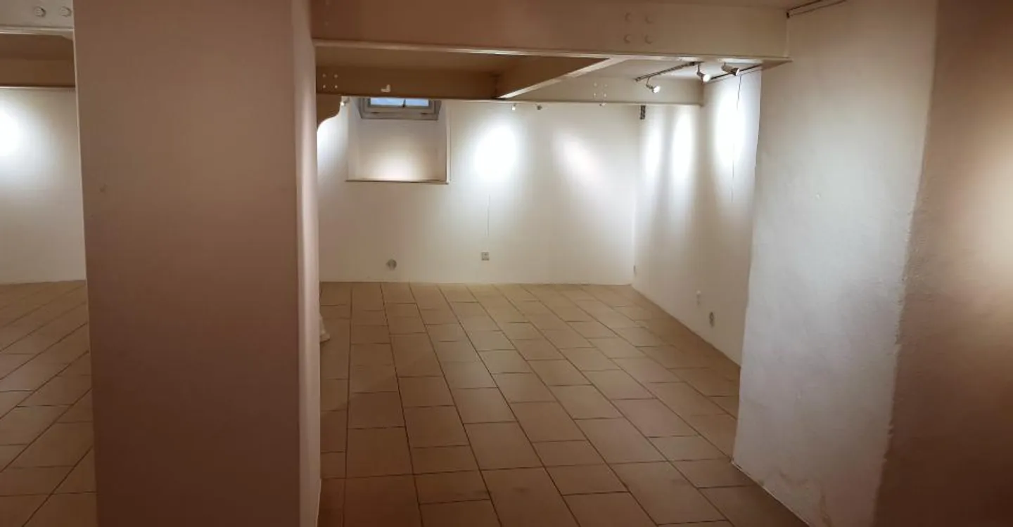 Commercial Space in Valangin - Photo 11 of 13