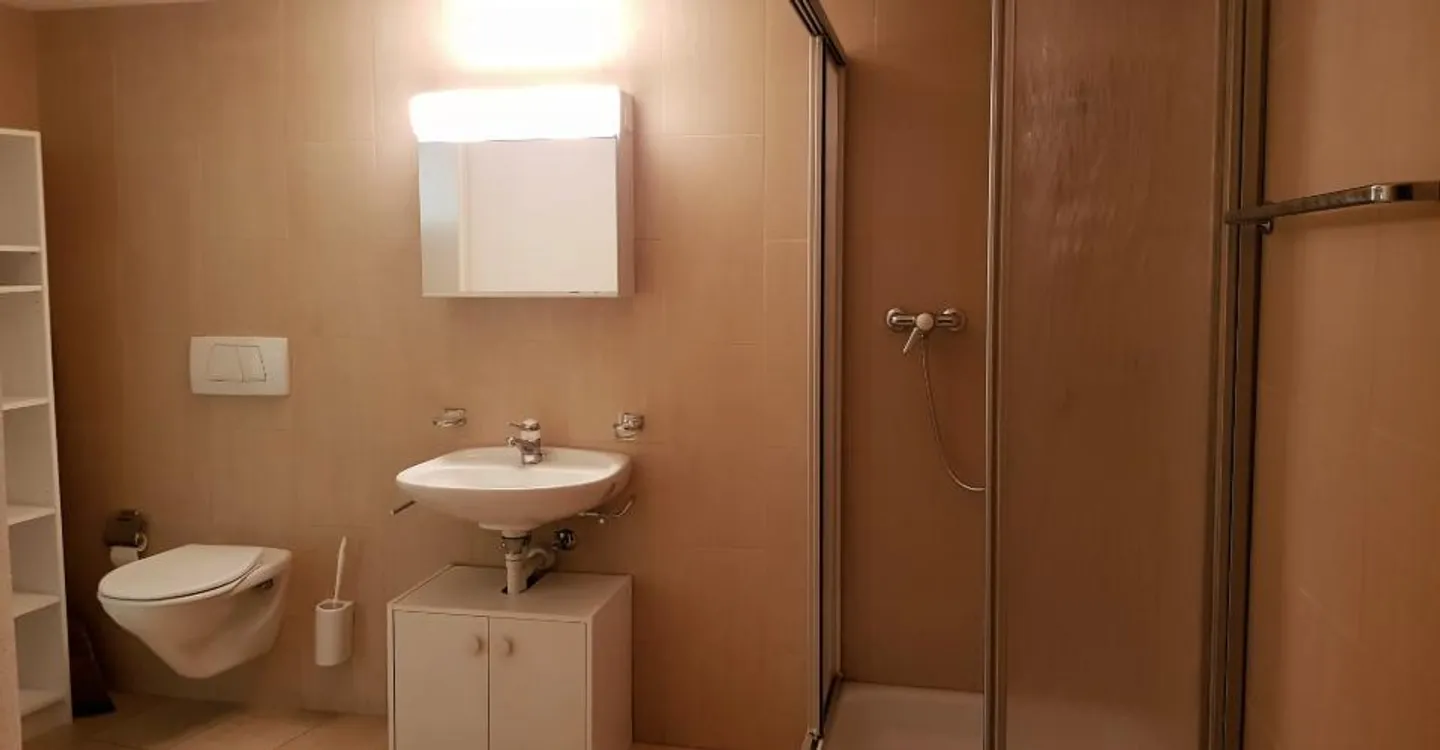 Commercial Space in Valangin - Photo 9 of 13