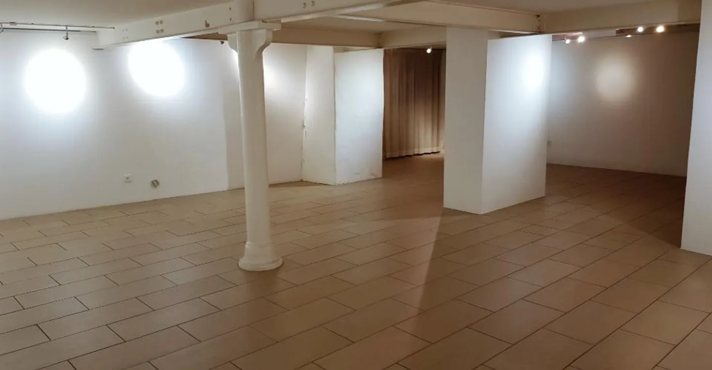 Commercial Space in Valangin - Photo 12 of 13