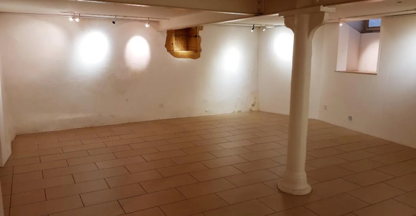 Commercial Space in Valangin - Photo 10 of 13