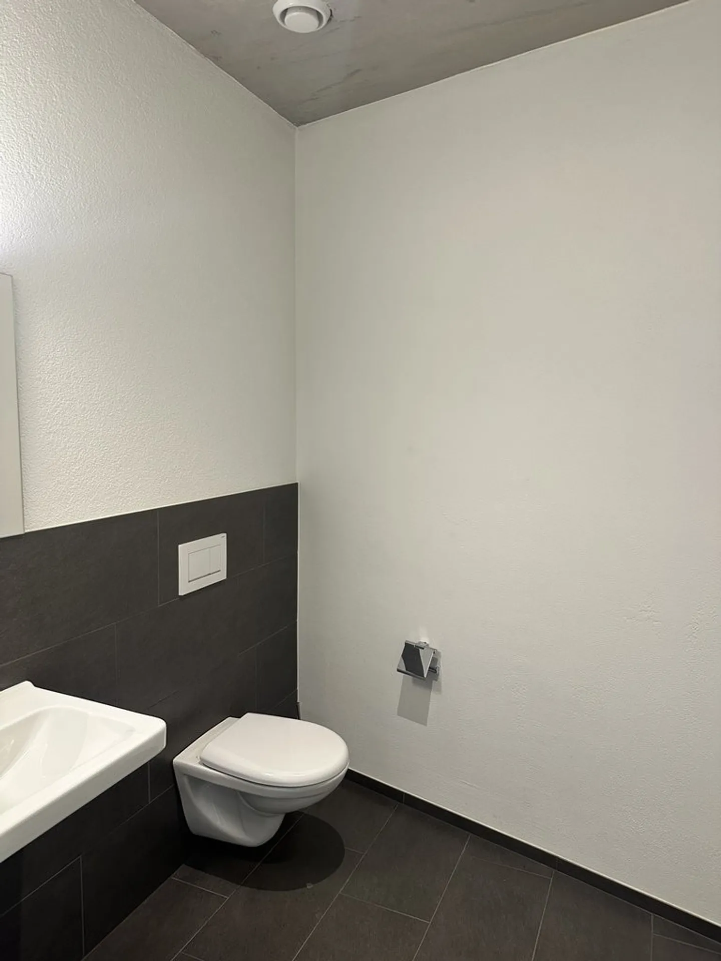 Modern commercial space in prime location in Heerbrugg - Photo 9 of 9