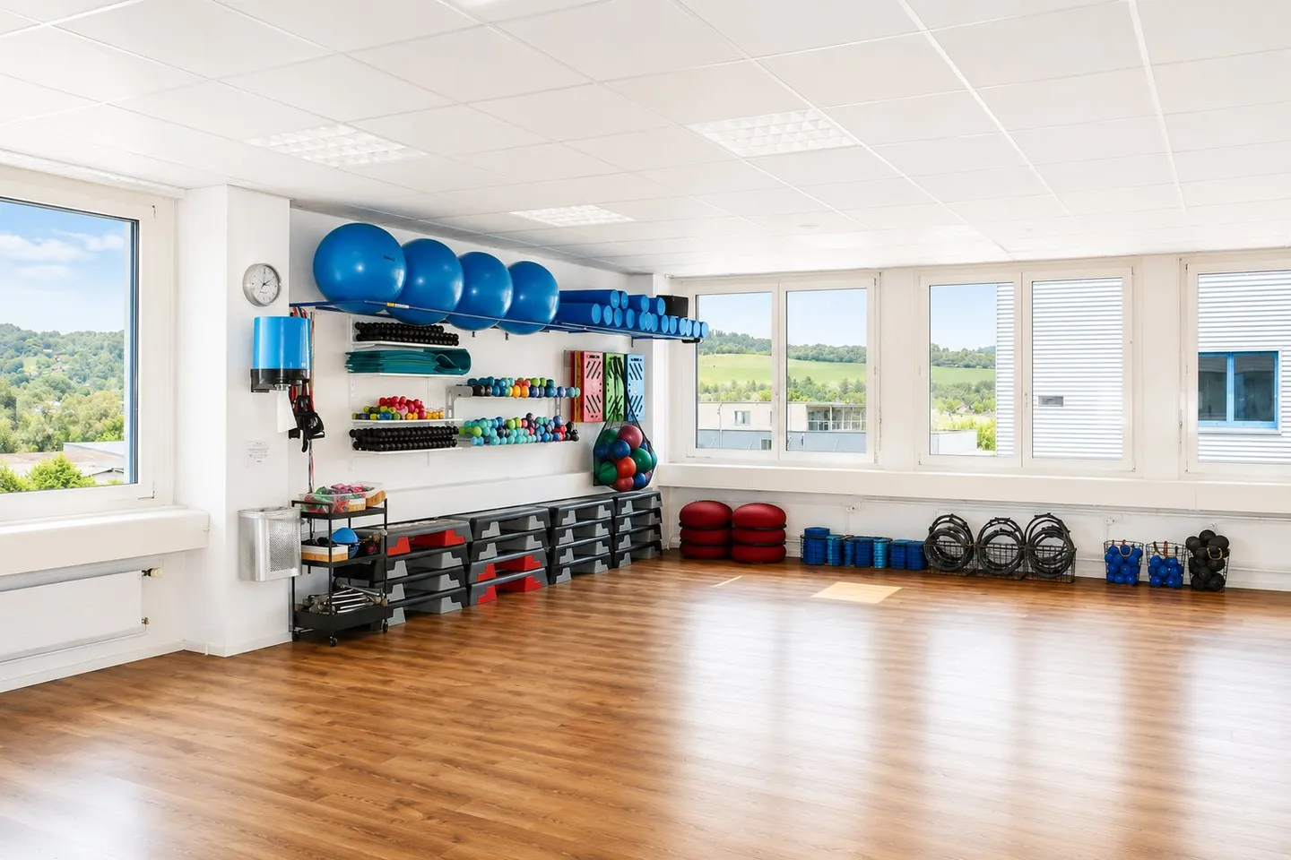 Practice, commercial, production and storage spaces – all under one roof. At attractive conditions. - Photo 13 of 13