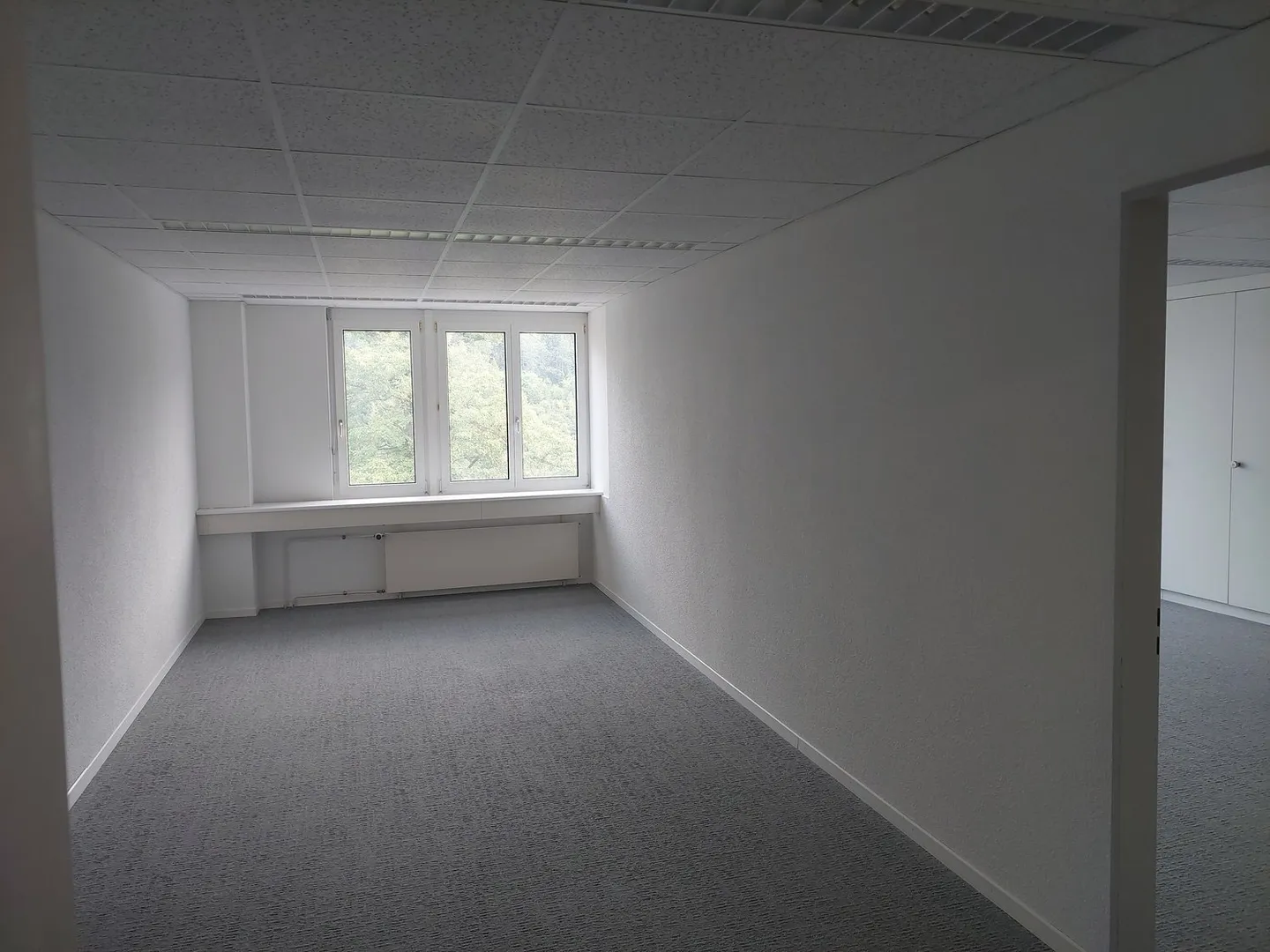 Your new location in Rüti ZH - Photo 5 of 13