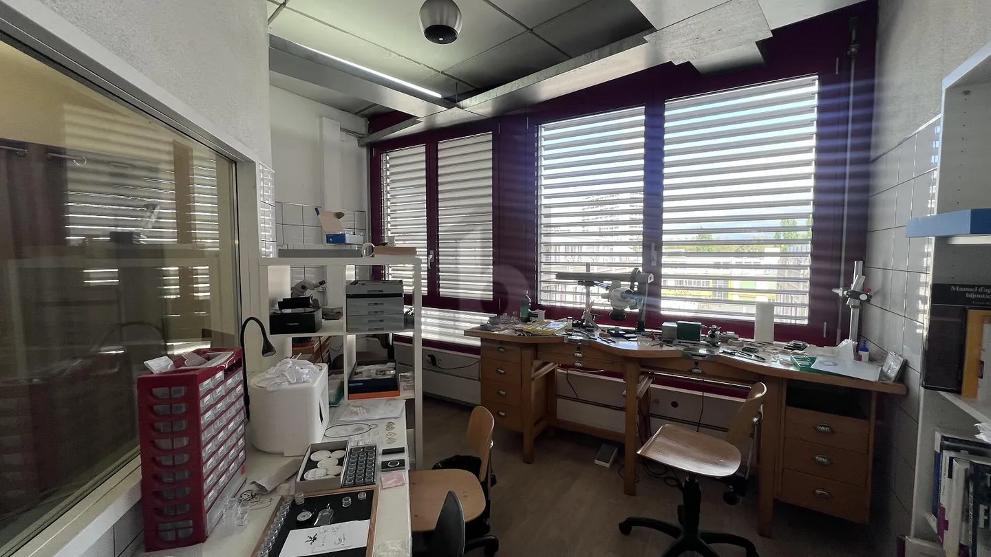 BRIGHT, QUIET & PRACTICAL - Photo 4 of 5