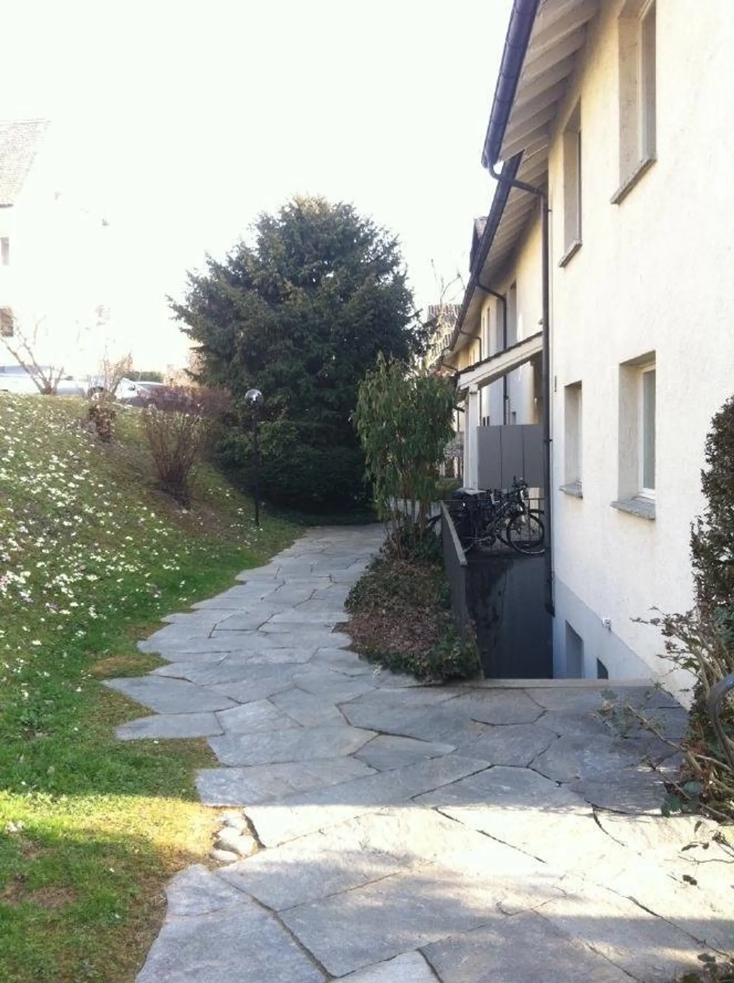 Commercial space in Zurich Seefeld - limited until 30.09.2027 - Photo 2 of 12