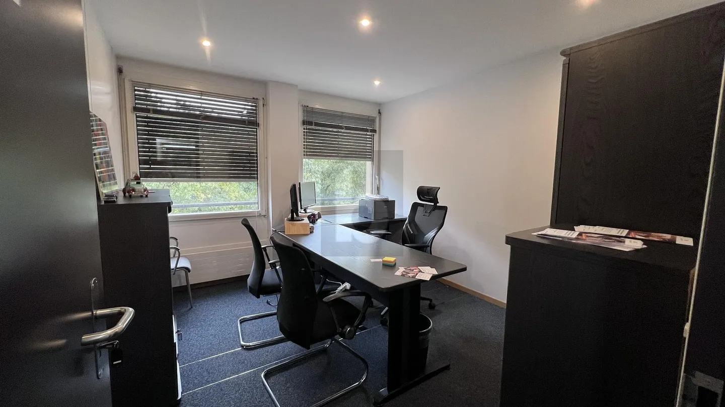 TIMELESS OFFICE SPACE NEAR THE CENTER - Photo 4 of 6