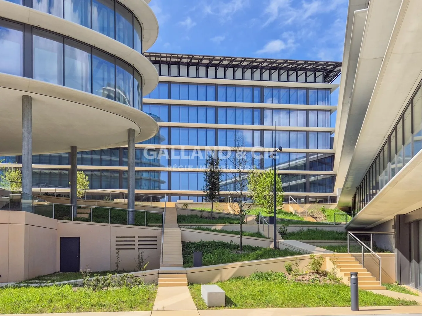 61m2 Business - Photo 5 of 6