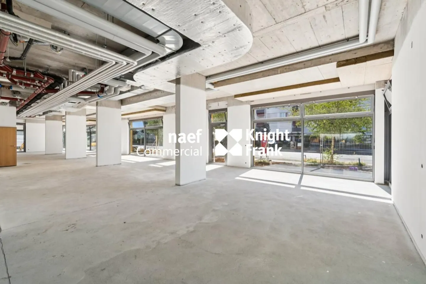 Arcade of 382 m² for rent - Petit-Saconnex - Photo 3 of 6