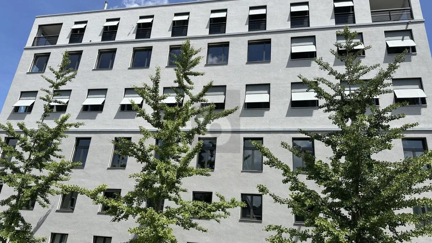 Geräumige Bürofläche in Wetzikon - Foto 5 von 6