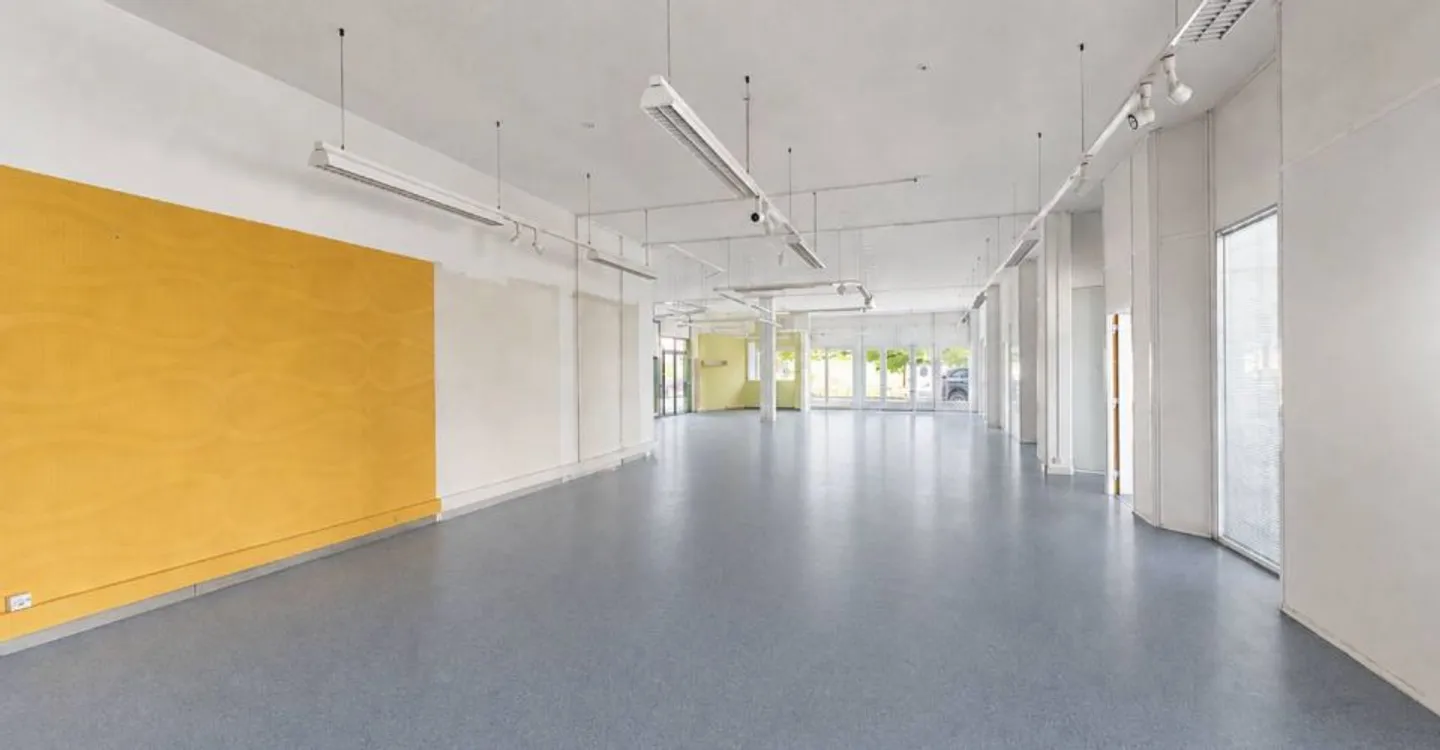 GRAND-LAUSANNE - COMMERCIAL & INDUSTRIAL SPACE - Photo 3 of 4