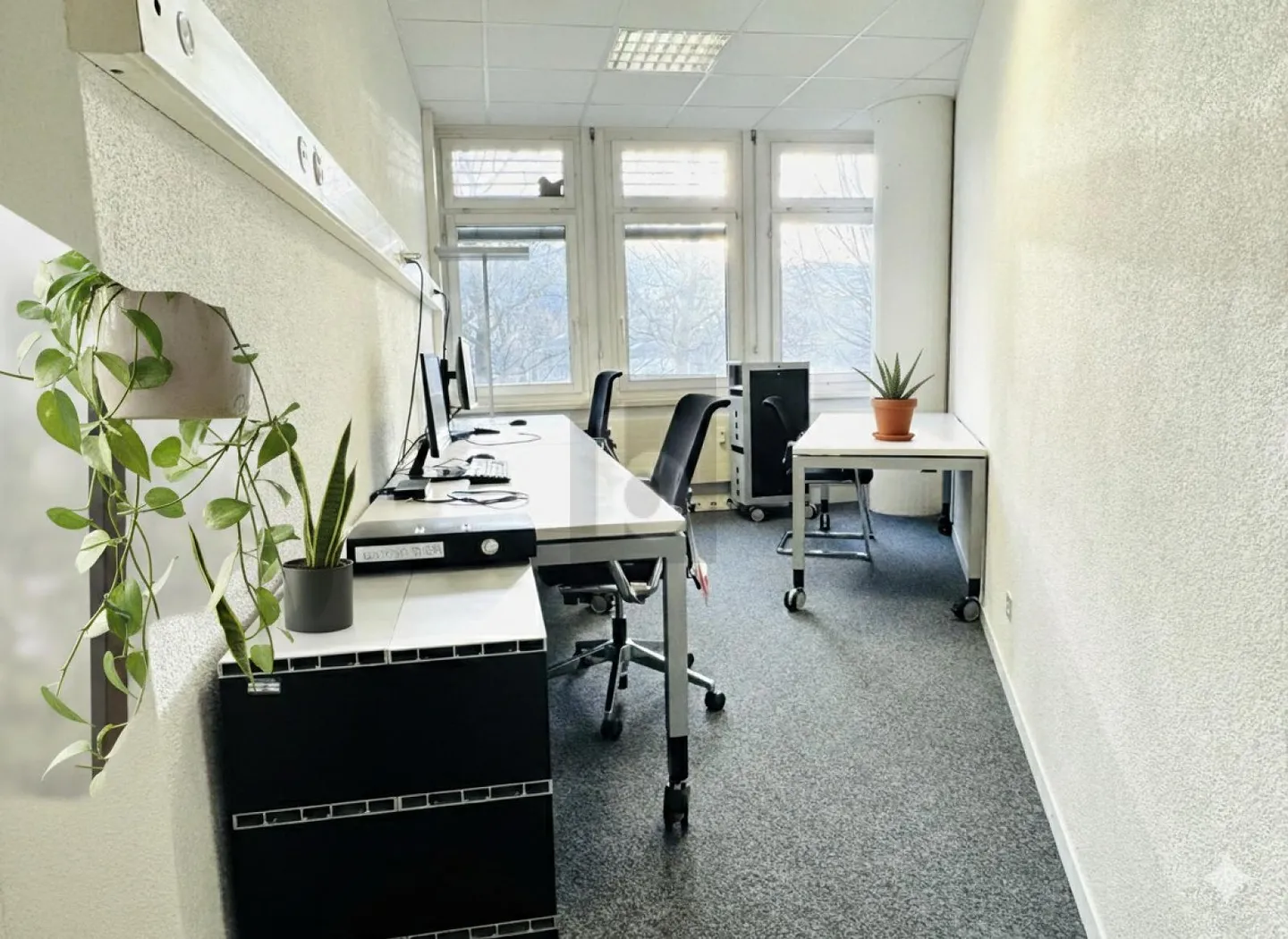 Spacious Office Space in Central Luzern - Photo 2 of 6