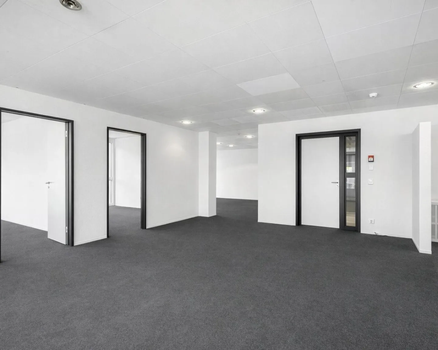 Move in, take off and feel good - this air-conditioned office space adapts flexibly to your ideas. - Photo 3 of 8