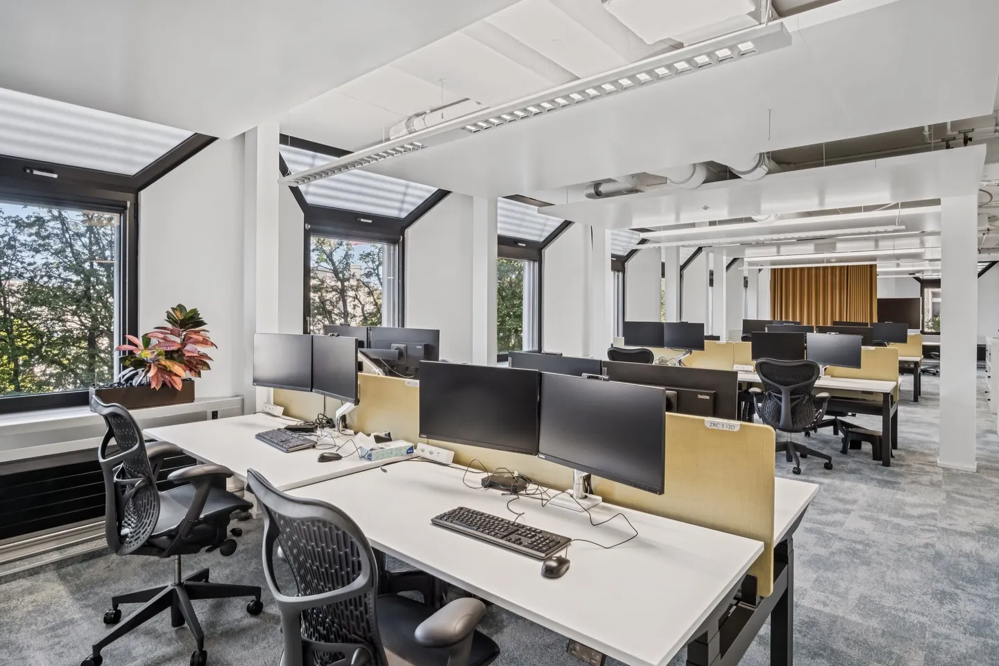Espace de bureau moderne à Zurich - Photo 5 sur 11
