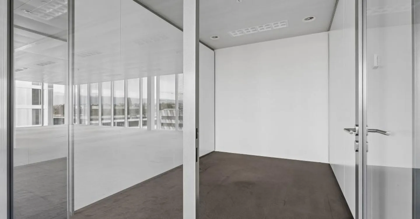 Un espace moderne de 450 m² au coeur de Plan-les-Ouates - Photo 7 of 12