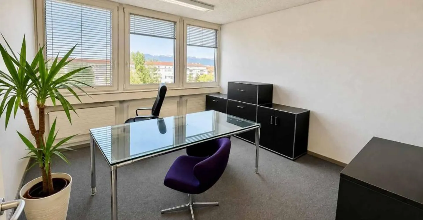 Offices in the Malagnou-Florissant area - Photo 6 of 11
