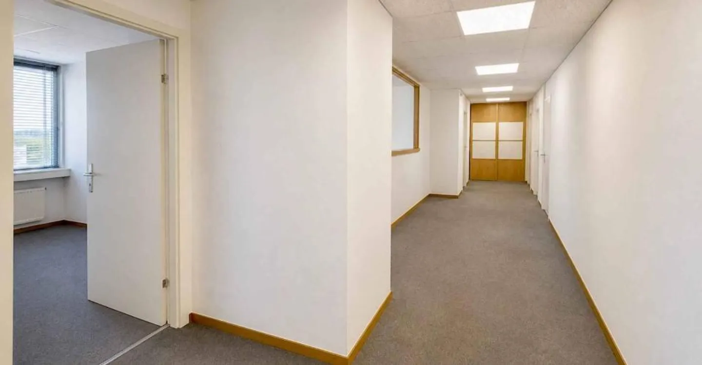 Offices in the Malagnou-Florissant area - Photo 9 of 11
