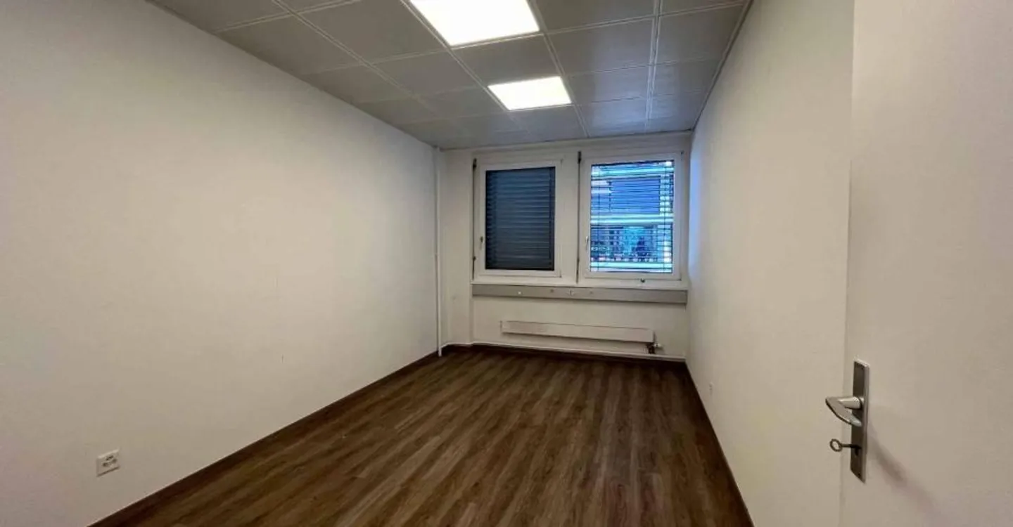 Offices 186m2 - Chêne-Bourg Station - Photo 6 of 13