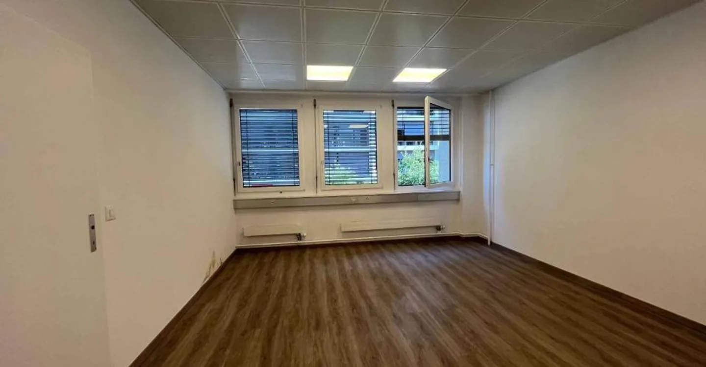 Offices 186m2 - Chêne-Bourg Station - Photo 9 of 13