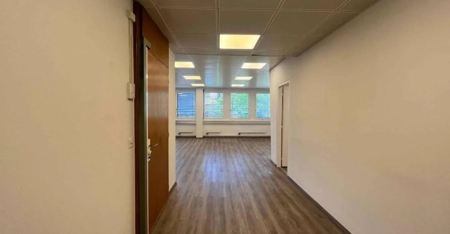Offices 186m2 - Chêne-Bourg Station - Photo 7 of 13