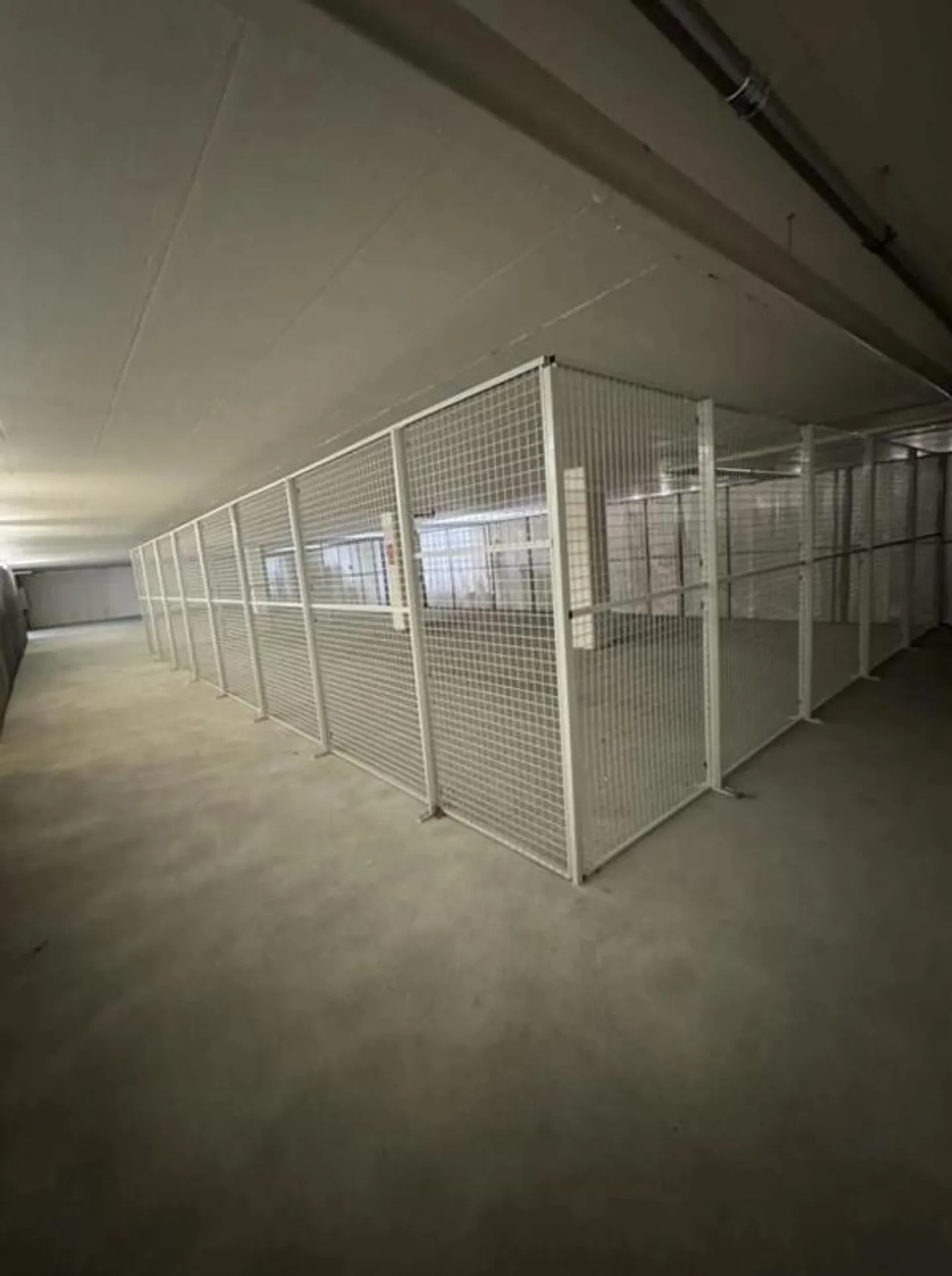 Storage space in Niederhasli - limited until 31.12.2028 - Photo 2 of 2