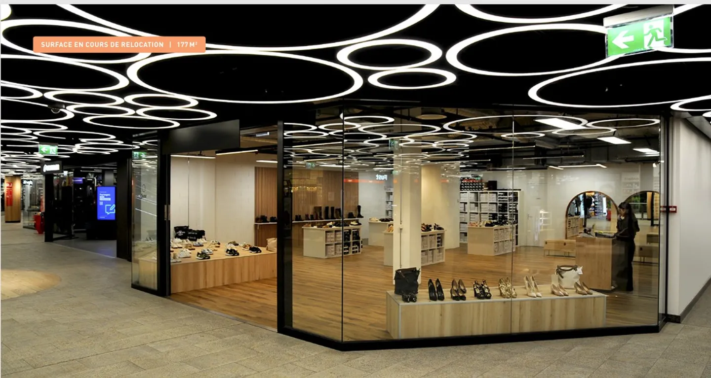 Commercial Space in Eaux-Vives - Photo 3 of 4