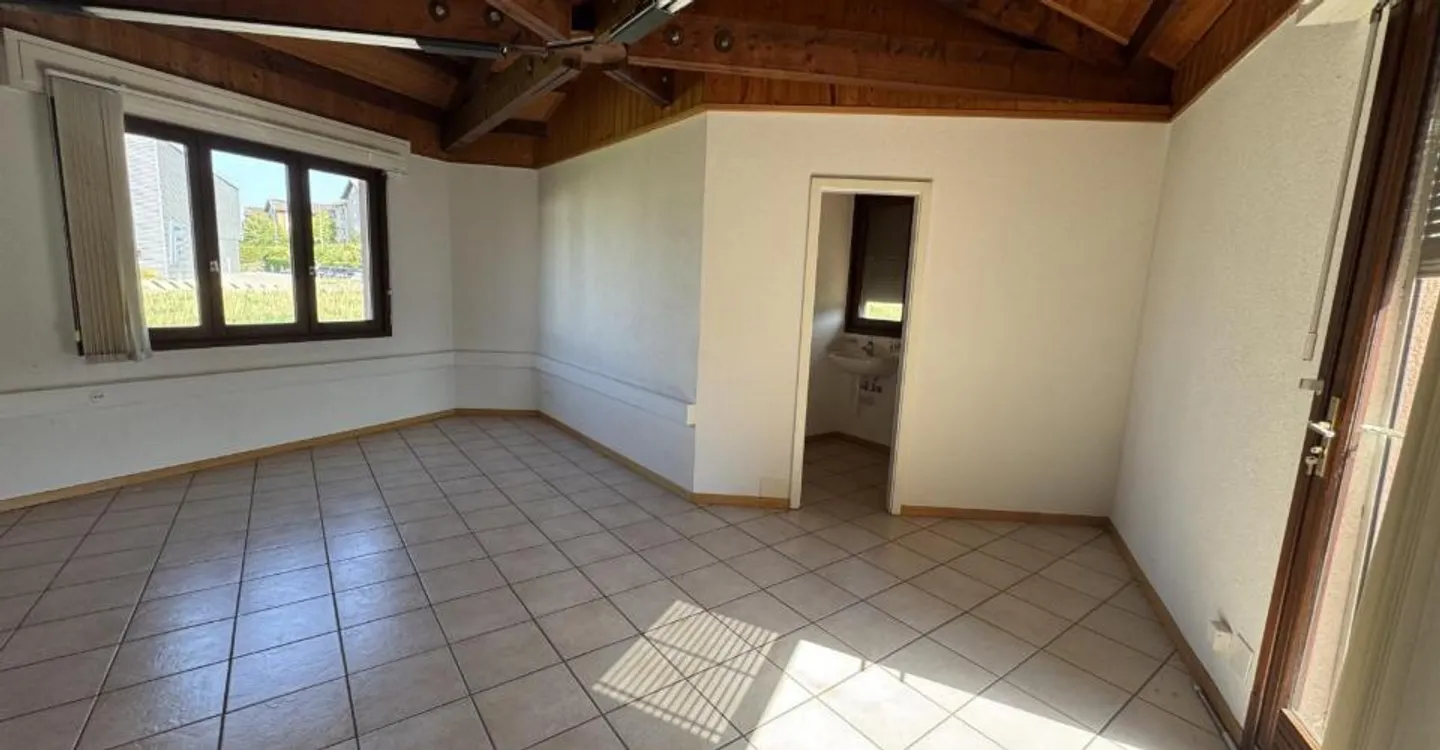 02472 - Surface commerciale - RTE COTEAU 1-3 - GRANGES-PACCOT - Photo 2 of 11