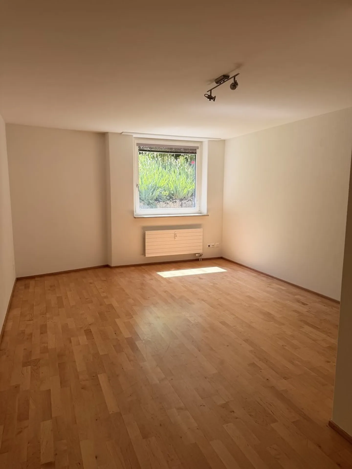 Craft Room/Hobby Room with Daylight near Village Center for Rent! - Photo 3 of 4